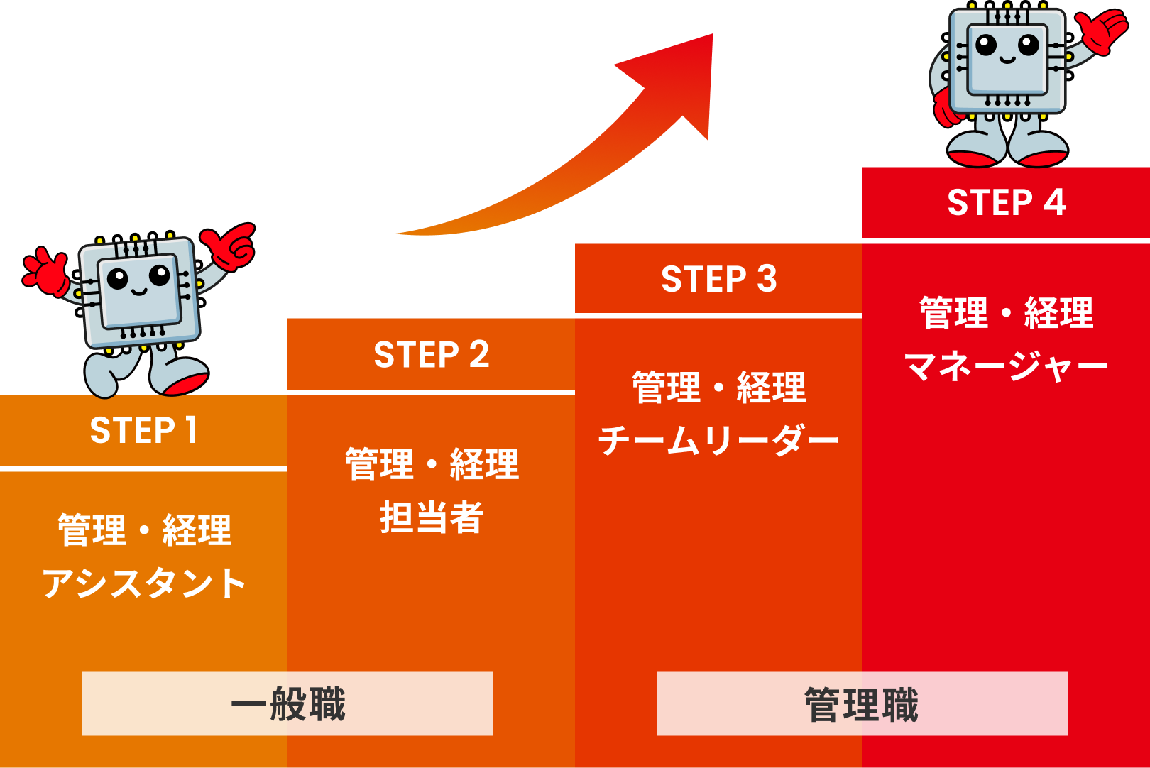 管理部/経理部のキャリアパス